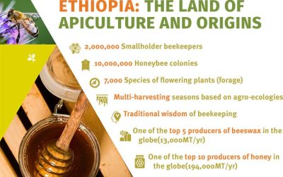 Ethiopian Apiculture Stats