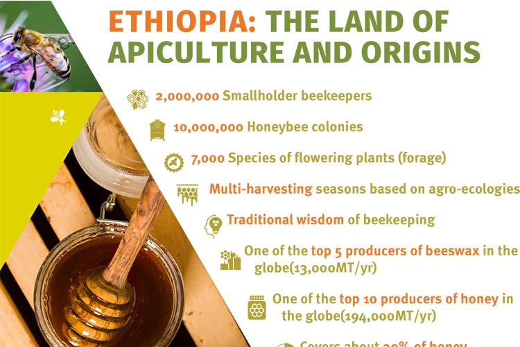 Ethiopian Apiculture Stats