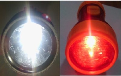 Red-light source during colony inspection in the dark